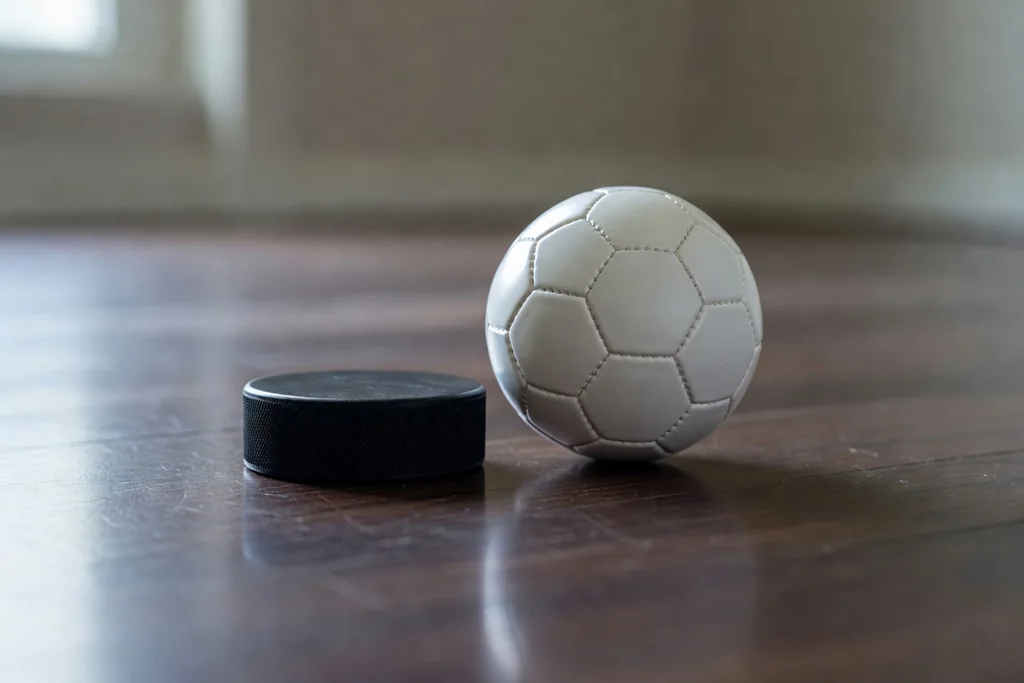 Hockey Among the Big Leagues: Comparing Sports