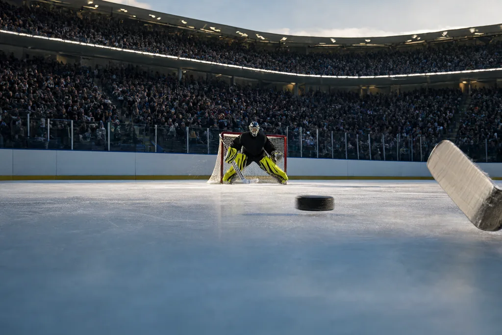 Coming Soon: An Updated Illustrated History of the NHL
