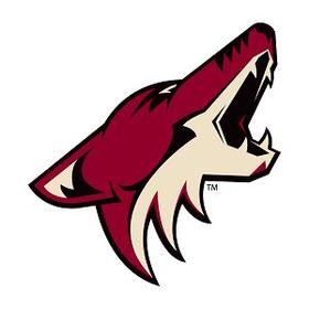 Phoenix Coyotes sale could be finalized next week – Phoenix Business Journal